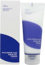 Isntree Hyaluronic Acid Aqua Gel Cream 100ml